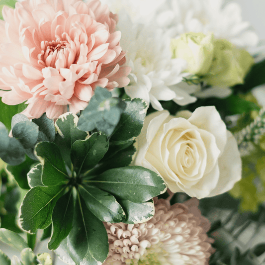 Corporate floral subscriptions