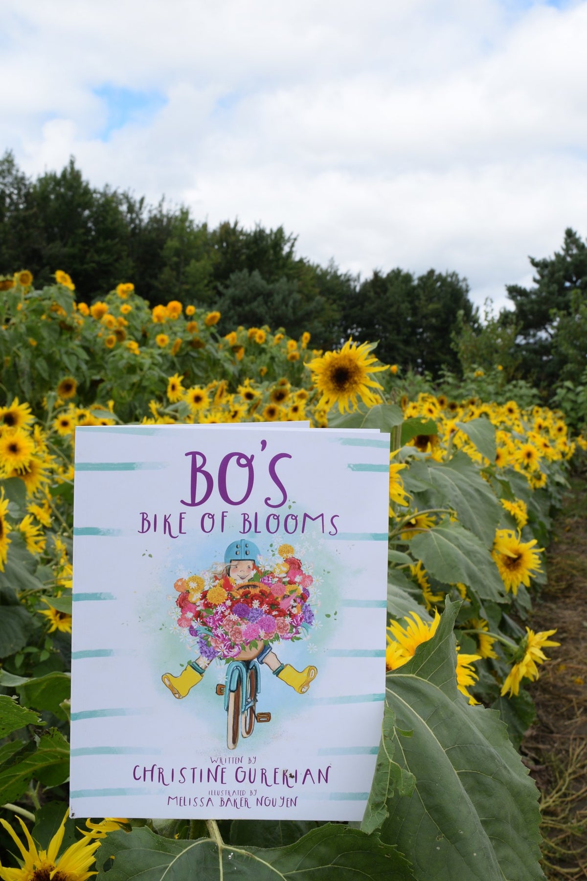 The book Bo's Bike of Blooms standing in a field of sunflowers